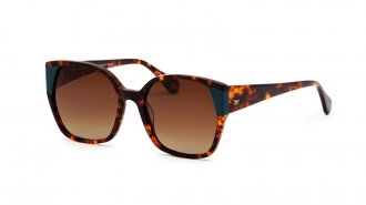 MA 1238 Tortoise Gradien Pol